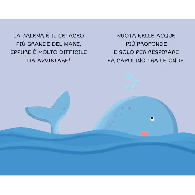 Dettaglio illustrazioni animali marini, libro animali marini bambini 2 anni