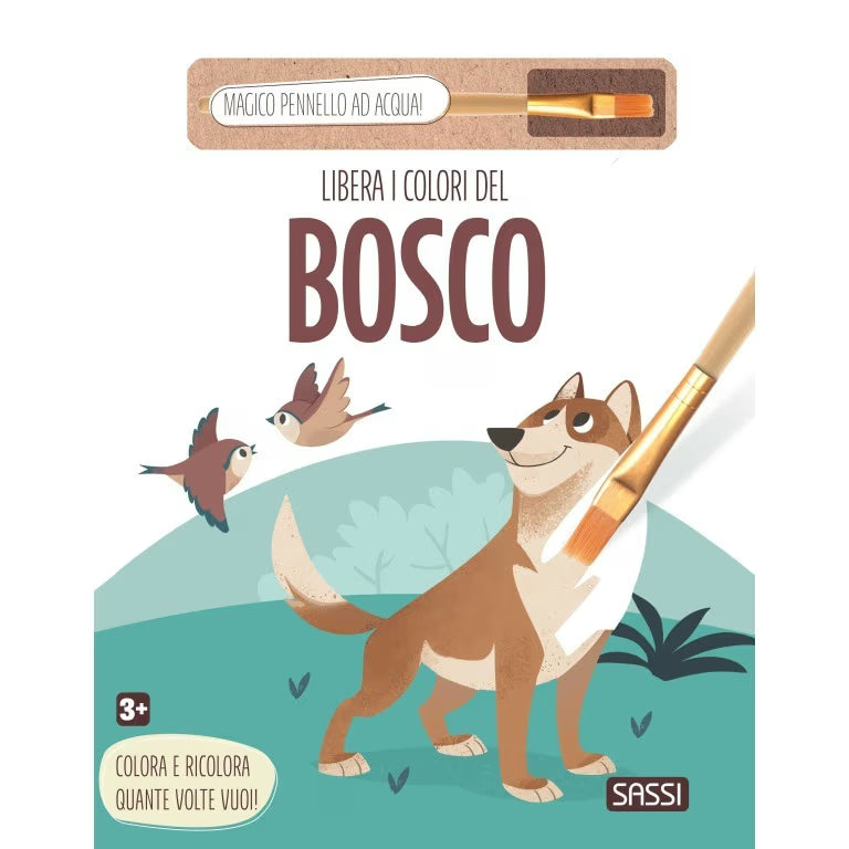 Sassi Libera i colori del bosco