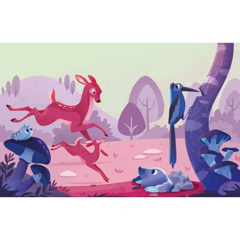 Sassi Libera i colori del bosco
