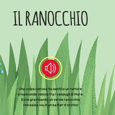 Sassi Junior Libri sonori - Il bosco