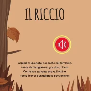 Sassi Junior Libri sonori - Il bosco