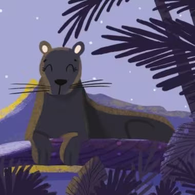 Sassi Junior Dolci storie sonore - La giungla