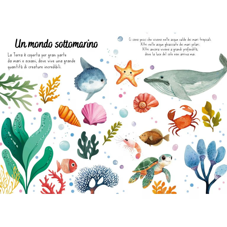 Sassi Magico puzzle ad acqua - Il mare