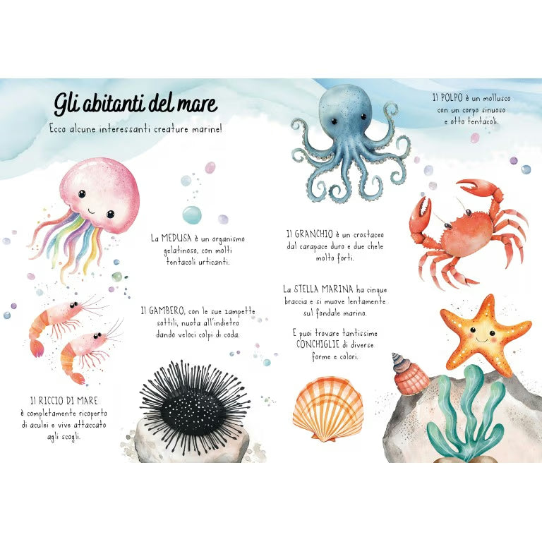 Sassi Magico puzzle ad acqua - Il mare