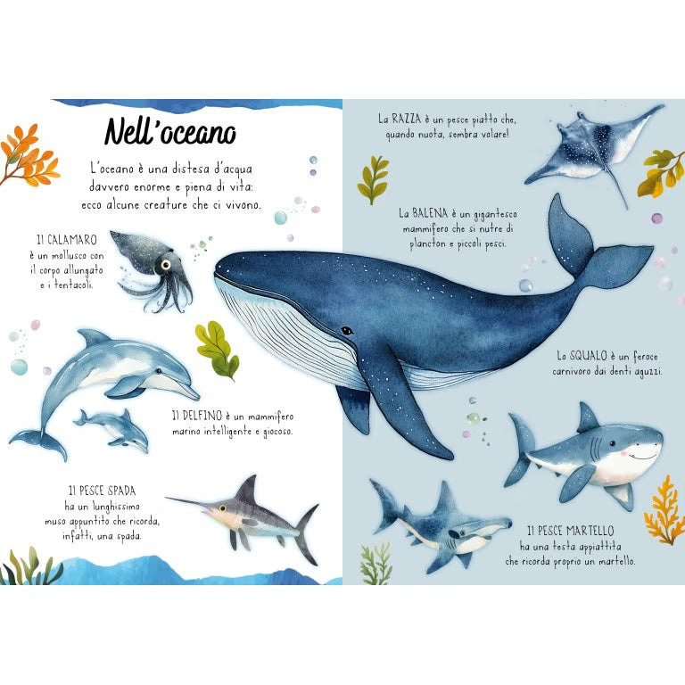 Sassi Magico puzzle ad acqua - Il mare