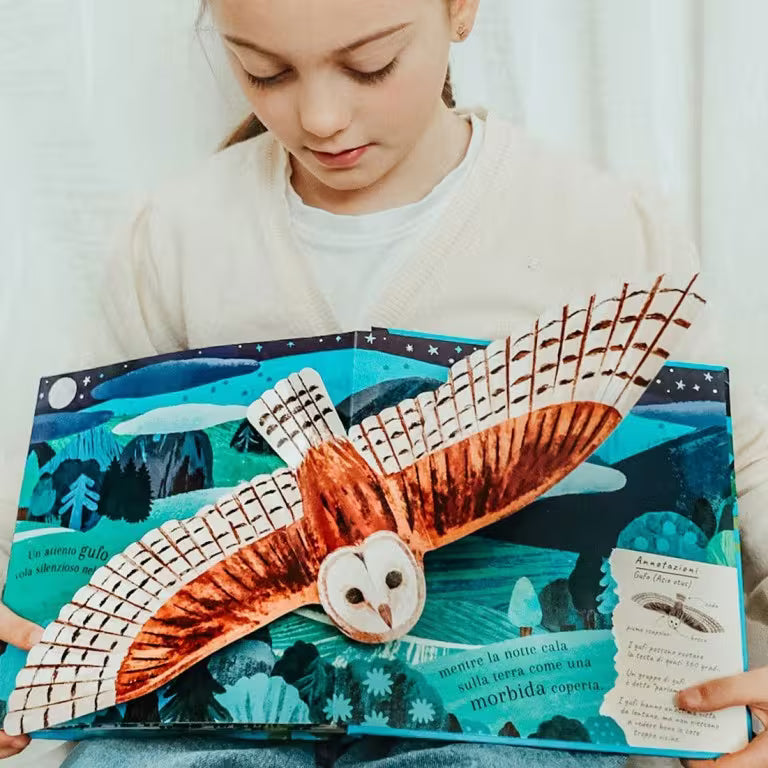 Sassi Junior Pop-up della natura - Il mondo degli uccelli