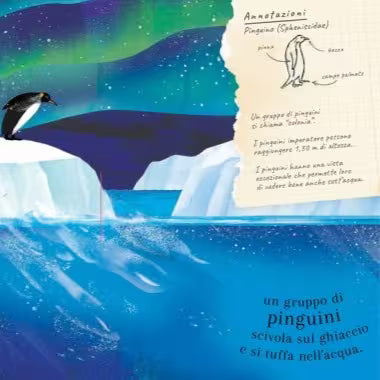 Sassi Junior Pop-up della natura - Il mondo degli uccelli