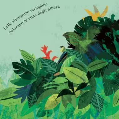 Sassi Junior Pop-up della natura - Il mondo degli uccelli