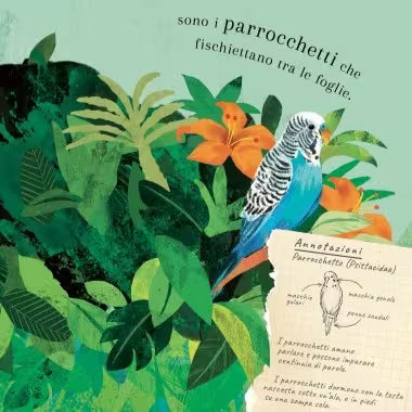 Sassi Junior Pop-up della natura - Il mondo degli uccelli