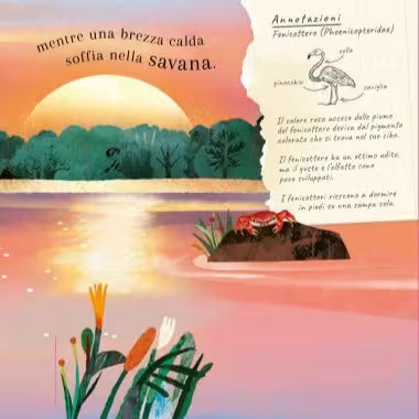 Sassi Junior Pop-up della natura - Il mondo degli uccelli