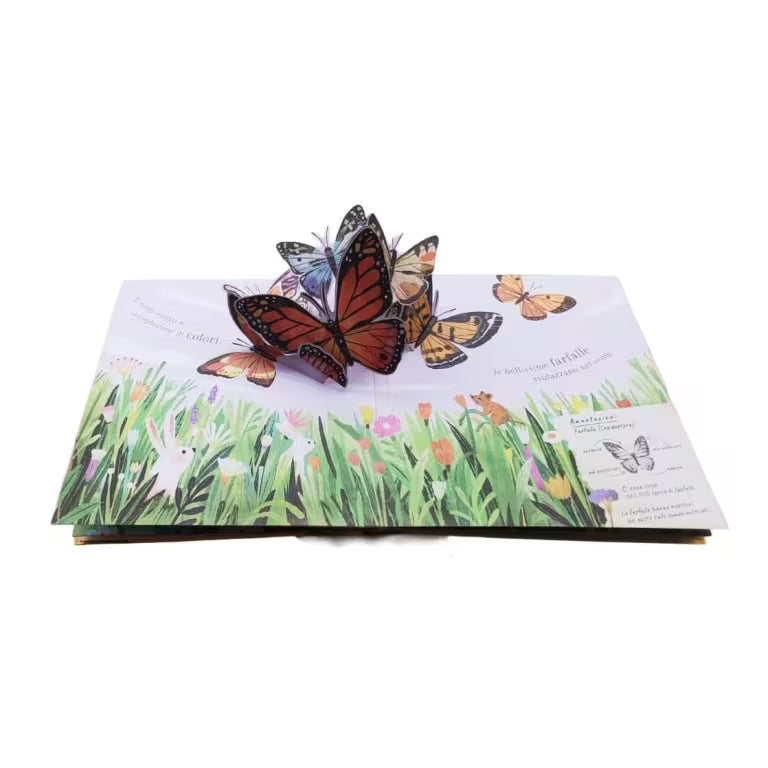 Sassi Junior Pop-up della natura - Piccole creature