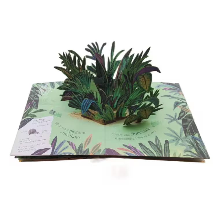 Sassi Junior Pop-up della natura - Piccole creature
