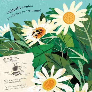 Sassi Junior Pop-up della natura - Piccole creature