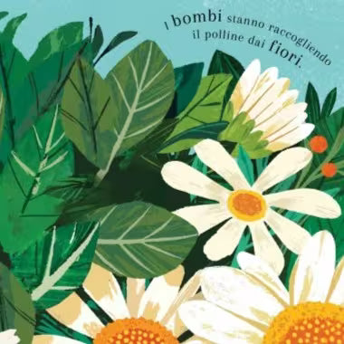 Sassi Junior Pop-up della natura - Piccole creature