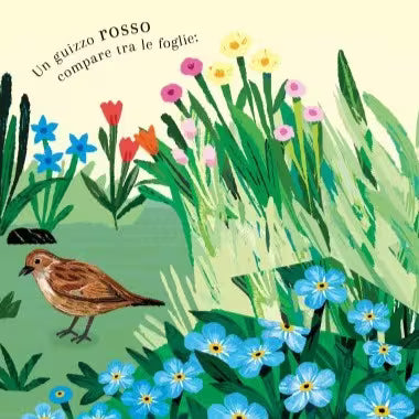 Sassi Junior Pop-up della natura - Piccole creature