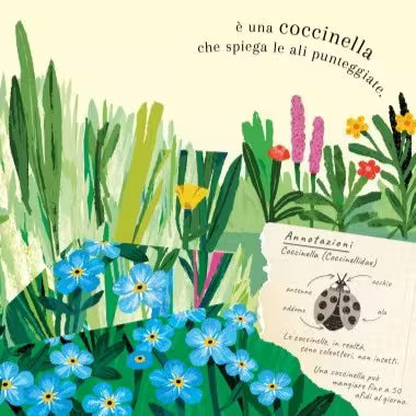 Sassi Junior Pop-up della natura - Piccole creature