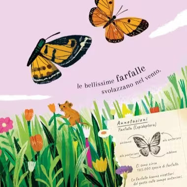Sassi Junior Pop-up della natura - Piccole creature