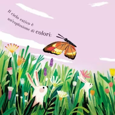 Sassi Junior Pop-up della natura - Piccole creature